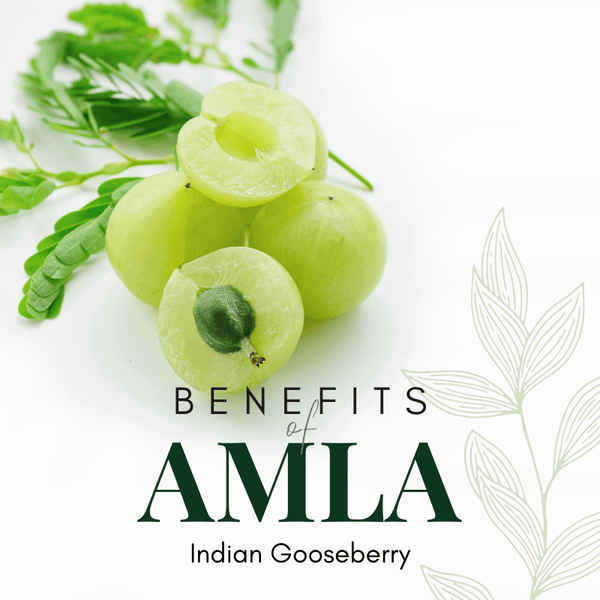 6 Benefits Of Amla ( Indian Gooseberry )