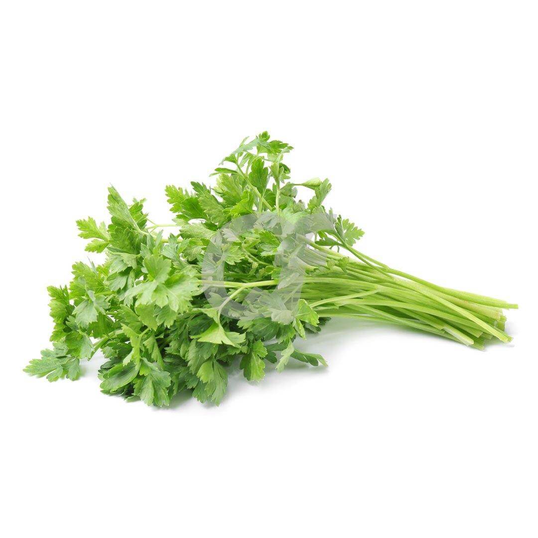 CORIANDER Bunch 1 bunch of Coriander