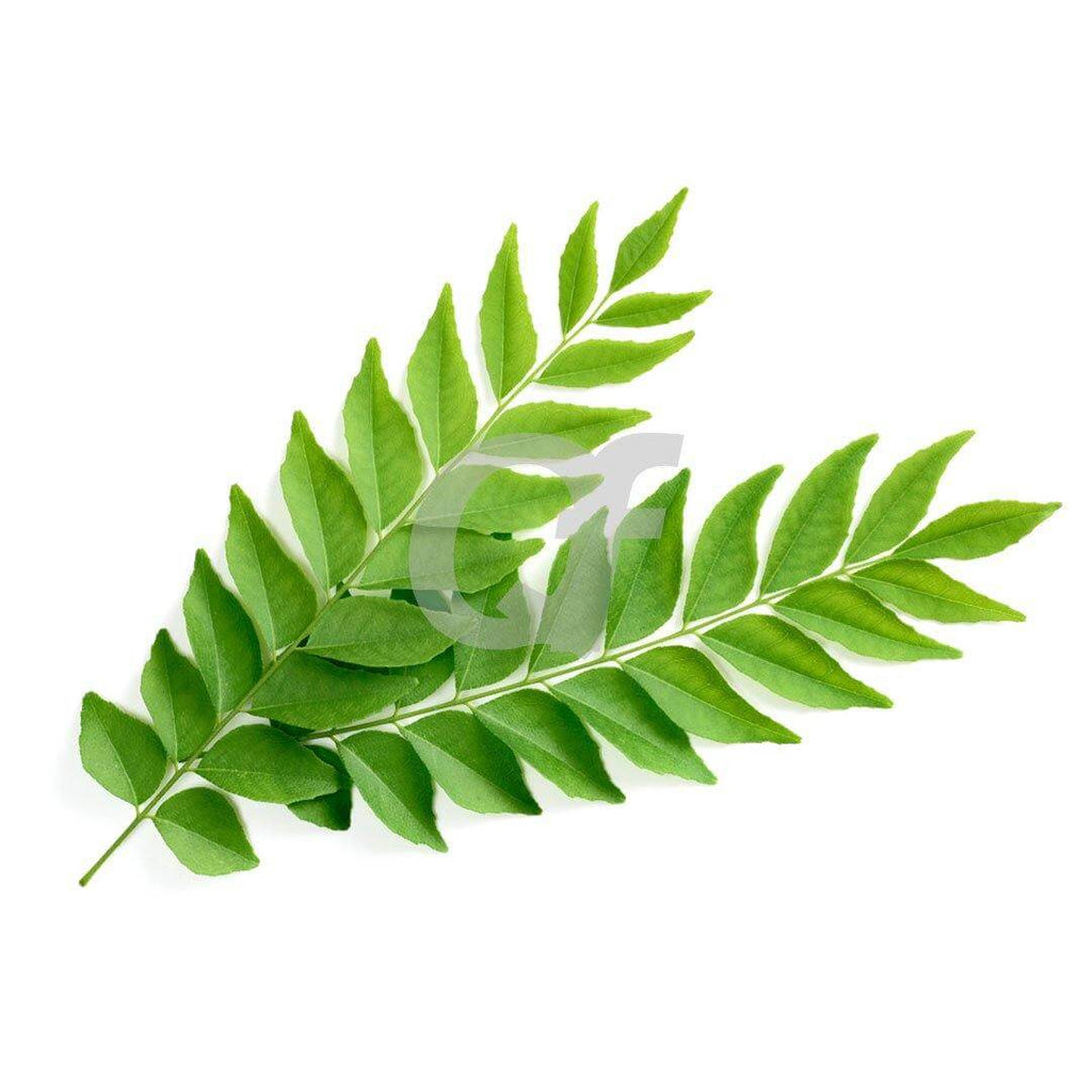 CURRY LEAVES - 1 pack