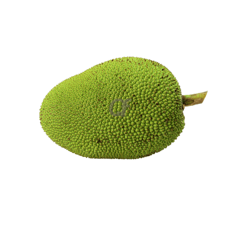JackFruit Raw