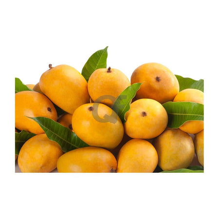 Kesar Mango Indian - Large Box (12 pcs)