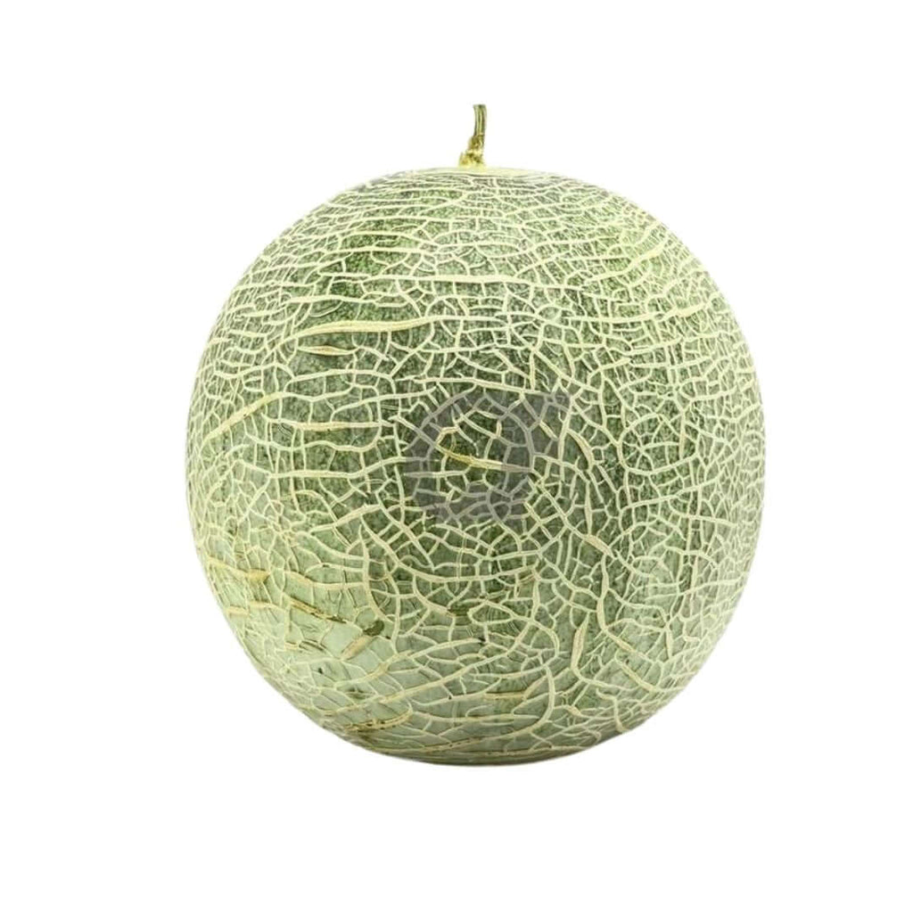 Cantelope - Melon
