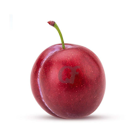 Plum - Red