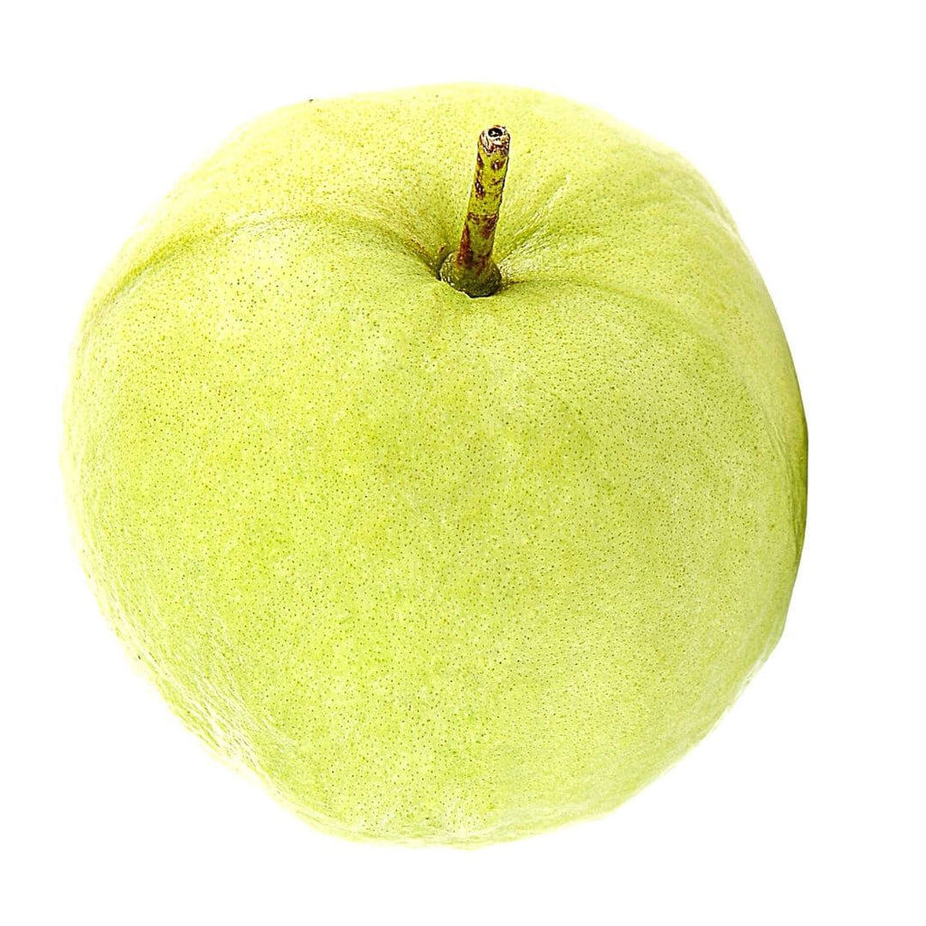 Guava - Big