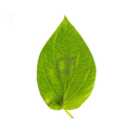 Pan Leaves - Pack Of 10