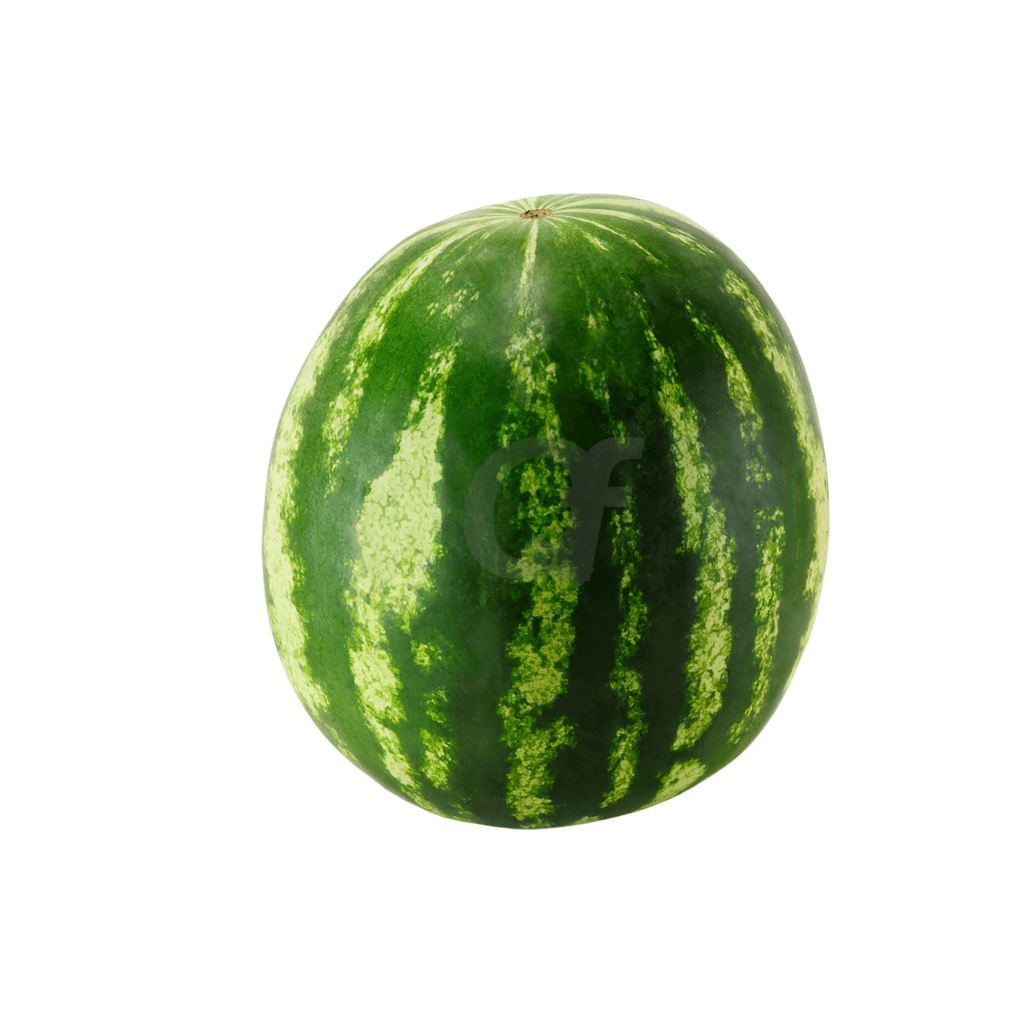 Watermelon - Stripe