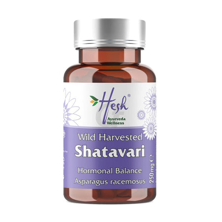 Hesh Shatavari Extract Vegan Caps