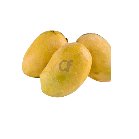 Mango Pakistani - Small