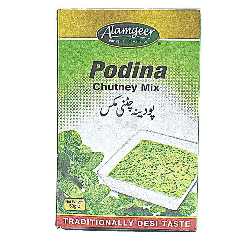 Alamgeer Podina Chutney Mix 50g