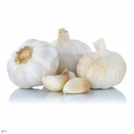GARLIC - 500g