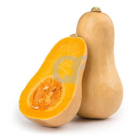 BUTTERNUT SQUASH - single