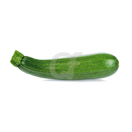 COURGETTE GREEN - single