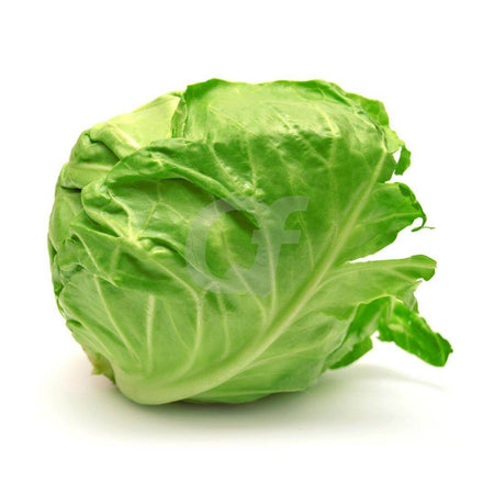 CABBAGE GREEN - single