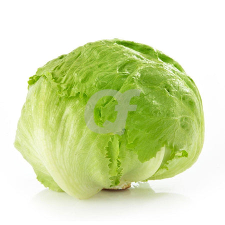 ICEBERG LETTUCE- single