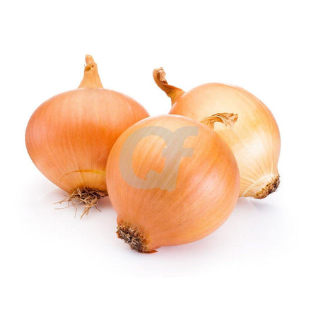 ONION DUTCH - 1kg