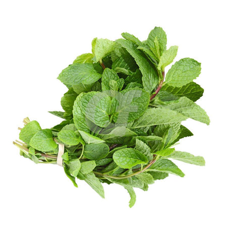 MINT - 1 bunch