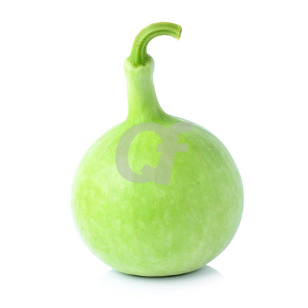 DUDHI ROUND - single