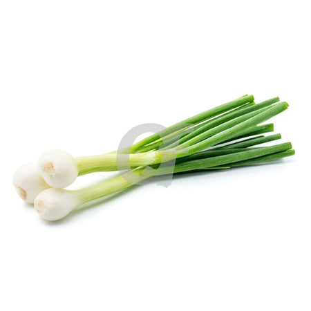 SPRING ONION - single