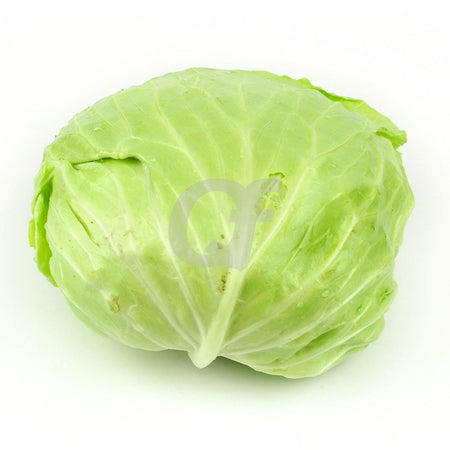 CABBAGE FLAT - single